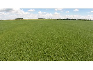 Property photo 10 - PRIME FARMLAND AUCTION - 716+/- ACRES OFFERED IN 8 TRACTS IN CASS & CARROLL COUNTIES